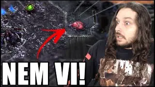 HORA QUE VI J&Aacute; TAVA L&Aacute;! - KATOPLAY #22 (ZvZ)