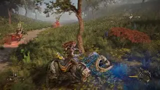 HFW - Shield-Weaver variant final upgrade