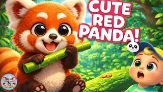 The Red Panda Song 🐼 | Cute Animal Songs for Kids | Nursery Rhymes by Chapz Curious Kids