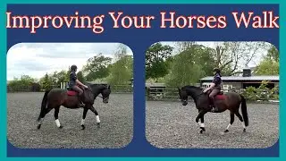 HOW TO IMPROVE YOUR HORSES WALK & REDUCE TENSION & JOGGING | Dressage Training