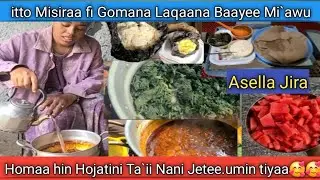🥰Kootaa Laqaana Hojanaa.itto misiraa fi Gomaana haala salphaani Hojatamee