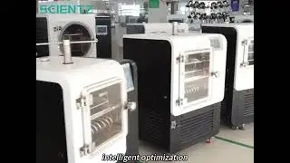 Professional Freeze Dryer Manufacturer