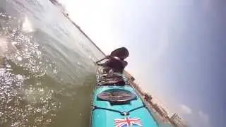 SEA KAYAK ROLL CETUS 178 MV P&H