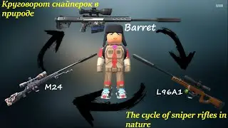 Something that not everyone can play with | То, с чем не каждый может играть