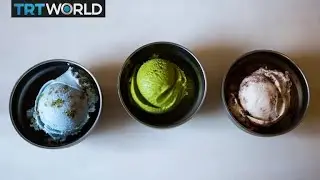 Insect Ice Cream: Maggot ice cream up for grubs in Cape Town