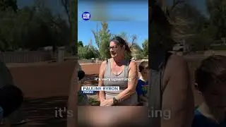 Gunman on the run | 9 News Australia