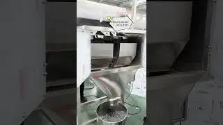 💡1000g Granule Filling Machine 4 Linear Vibratory Weigh Filler | VTOPS-4DC-6K 💡