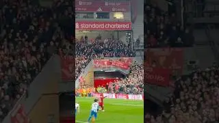 Salah beautifully striking the ball & celebrating Penalty v Brighton #salah #liverpool #liverpoolfc