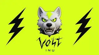 Can Volt Inu Lead The Next Crypto Bull Run?
