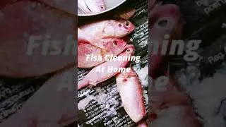 Mom's Fish Cleaning at  Home 🐬🐬🐬.