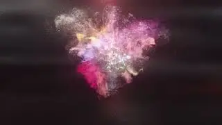 Butterfly Logo Reveal Animation | Colorful Motion Graphics | SHAUKATIFY