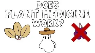Did Native American Plant Medicine Actually Work?