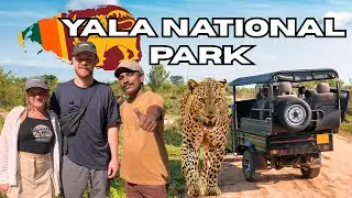 Bad Luck in Yala National Park! | Sri Lanka Vlog | Episode 4