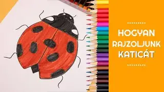 Hogyan rajzoljunk katic&aacute;t?🐞