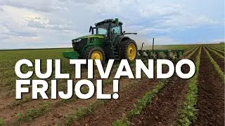 Un día en el campo 🌾  Frijol con lluvia, la Ford