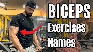 Biceps Workout For Beginners with Name_Fitness My Dream