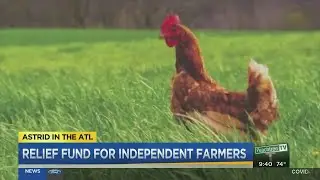 Relief fund for independent farmers