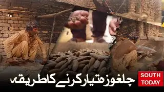 Waziristan Pine Nuts Roasted in Multan | Traditional Bhatti Method | Hard Work Behind Taste
