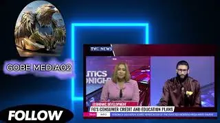 mechanism aimed at securing advantageous credit terms for borrowers..Ajuri Ngelale.