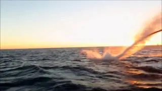 People Are Awesome - Extreme Sports Compilation
