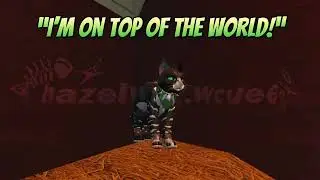 Bird lore (One of Ferret&rsquo;s kits)