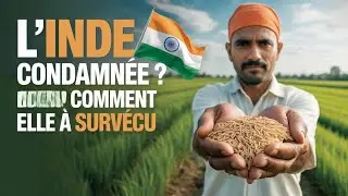 Le secret incroyable derri&egrave;re la r&eacute;ussite agricole de l&rsquo;Inde !