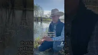 Regenerative grassland and natural water filtration. #regenerativeag #meat #grassfed #eatrep