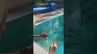 Pool Water Test