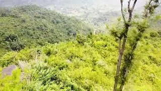 Araku drone shots