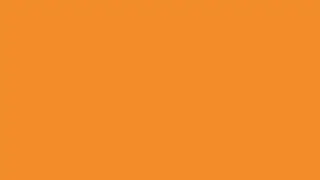 Orange Screen Background - 4 Hours No Sound