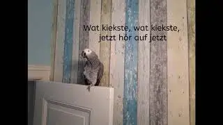 Lilo........ Der Kurt