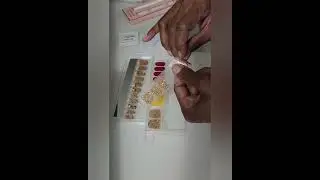 Easy, Fast, Chip Free Nail Strips! Full Demo.