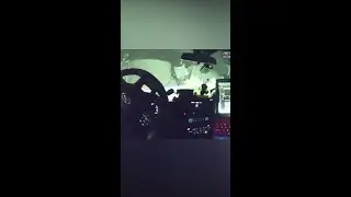 Cop saves Skunk