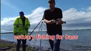 estuary fishing for bass flounder and eel #seabass #fishing #fish #seabassfishing