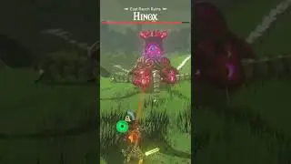 the invite was NOT plus one #zelda #zeldabotw #gamer #gaming #gameplay #videogame #tearsofthekingdom
