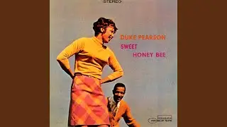 Sweet Honey Bee