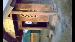 uvccs olango 1.mp4