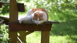 Bildfilm Heby kommun.wmv