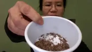 Grading Tea!