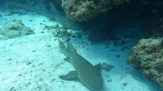 Florida Sea Base scuba trip 2024