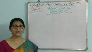 Morphology of Flower - Structural Organisation in Plants