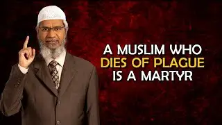 A Muslim who dies of Plague is a Martyr &ndash; Dr Zakir Naik