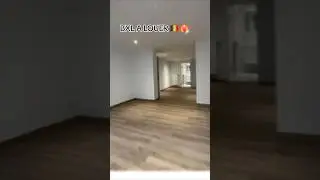 Studio 1 chambre &agrave; louer &agrave; Bruxelles (Cinquantenaire) | 42 m&sup2; #bruxelles #realestate #shorts #bxl