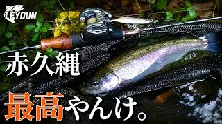 【エリアトラウト】こんなに楽しいと思わなかった！山奥のダム湖が最高でした『赤久縄』 LEYDUN   Usopp