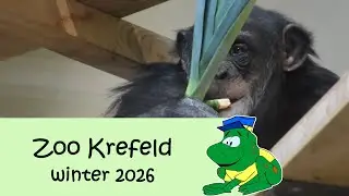 Zoo Krefeld, Winter 2026 (Nieuw: Artenschutz Zentrum Affenpark)