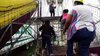 Alaska state fair 2014