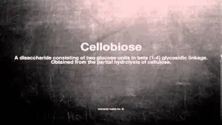 Medical vocabulary: What does Cellobiose mean