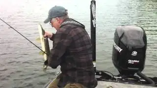 Henderson Harbor Pickerel - with Don Meissner