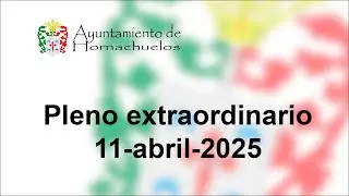 Pleno Extraordinario del 11 de abril de 2025