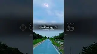 Tilawats best tilawat world best recitor besttilawat #howtolearnmadaniqaidaeasily #unfrezzmyaccount